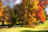 Keswick Pasture I Poster Print by Alan Hausenflock - Item # VARPDXPSHSF951