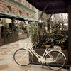 Firenze Bicycle Poster Print by Alan Blaustein