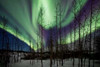 Aurora Borealis IX Poster Print by Larry Malvin - Item # VARPDXPSMAL213
