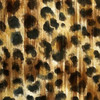 Nairobi Square I Poster Print by Nicholas Biscardi - Item # VARPDX8927