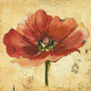 Poppy IV Poster Print by Patricia Pinto - Item # VARPDX9442A