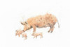 Pig and Piglet Poster Print by Emily Adams - Item # VARPDX23726