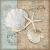 Linen Shells I Poster Print by Paul Brent - Item # VARPDXBNT508