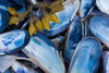 http://c328301.r1.cf1.rackcdn.com/PDXPSMHN450LARGE.jpg