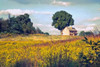 House on a Hill Poster Print by John Rivera - Item # VARPDXR1046D