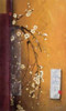 Oriental Blossoms III Poster Print by Don Li-Leger - Item # VARPDX2839