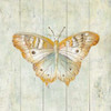 Natural Flora VII Poster Print by Danhui Nai - Item # VARPDX23169
