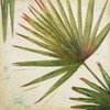 Organic II Poster Print by Patricia Pinto - Item # VARPDX6787