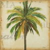 La Palma I Poster Print by Patricia Pinto - Item # VARPDX7432