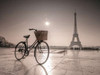 Bicycle in front of Eiffel tower, Paris, France Poster Print by  Assaf Frank - Item # VARPDXAF20120314341