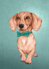 The Wiener Dog Poster Print by Barruf - Item # VARPDXB3303D
