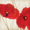 Red III Poster Print by Amy Melious - Item # VARPDXMEL400
