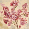 Pink Cherry Branch I Poster Print by Silvia Vassileva - Item # VARPDX9431