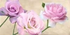 Rose classiche Poster Print by Serena Biffi - Item # VARPDX2SE3045