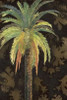 Palms II Poster Print by Patricia Pinto - Item # VARPDX7387A