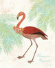 Flamingo Tropicale II Poster Print by  Sue Schlabach - Item # VARPDX24972