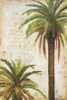 Palms and Scrolls I Poster Print by Patricia Pinto - Item # VARPDX7386