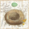 Botanical Nest II Poster Print by Moira Hershey - Item # VARPDX8384