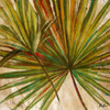 New Palmera Take Two I Poster Print by Patricia Pinto - Item # VARPDX9562A