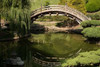 Moon Bridge II Poster Print by Erin Berzel - Item # VARPDXPSBZL821