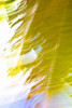 In Motion II Poster Print by Karyn Millet - Item # VARPDXPSMLT423