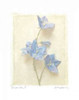 Campanula I Poster Print by Amy Melious - Item # VARPDXMEL291