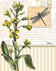 Botanical Collage II Poster Print by Paul Brent