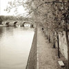 Sepia-Promenade Seine - 2 Poster Print by Alan Blaustein