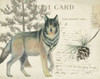 Northern Wild I Poster Print by James Wiens - Item # VARPDX17388