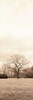 Chestnut Tree Poster Print by Alan Blaustein - Item # VARPDXB941D