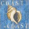 Coastal USA Conch Poster Print by Paul Brent - Item # VARPDXBNT329