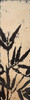 Bamboo Silhouette I Poster Print by Lanie Loreth - Item # VARPDX6890
