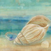 Horizon Shells II Poster Print by Cynthia Coulter - Item # VARPDXRB8292CC