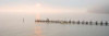 Antique Pier - 38 Poster Print by Alan Blaustein
