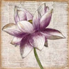 Defined Lotus I Poster Print by Patricia Pinto - Item # VARPDX8782A