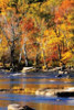 Autumn on the River I2 Poster Print by Alan Hausenflock - Item # VARPDXPSHSF574