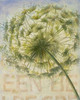 Be Green II Poster Print by Patricia Pinto - Item # VARPDX7354
