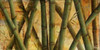 Bamboo Forest I Poster Print by Patricia Pinto - Item # VARPDX7624