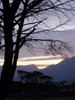 Trees in Landscape I Poster Print by Dana Underdahl - Item # VARPDXPSUND222