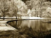Bryan Pond II Poster Print by Alan Hausenflock - Item # VARPDXPSHSF654