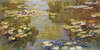 The Lily Pond Poster Print by Claude Monet - Item # VARPDX2CM1974