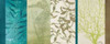 Aquatic Bliss II Poster Print by Elizabeth Medley - Item # VARPDX8973