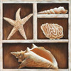 From the Ocean III Poster Print by Ted Broome - Item # VARPDX1BR867