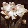 Paisley Blossom I Poster Print by Keith Mallett - Item # VARPDX18030