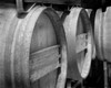 Winery IV Poster Print by Scott Larson - Item # VARPDXPSLAR141