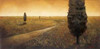 Infinite Dreamscape Poster Print by Patrick St.Germain - Item # VARPDX4035