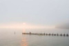 Antique Pier - 39 Poster Print by Alan Blaustein