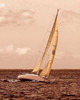 Weekend Sail I Poster Print by Alan Hausenflock - Item # VARPDXHSF014