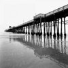 Pier Pilings XXI Poster Print by Lee Peterson - Item # VARPDXPSPSN148