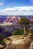 The Canyon Rim I Poster Print by Alan Hausenflock - Item # VARPDXPSHSF1475